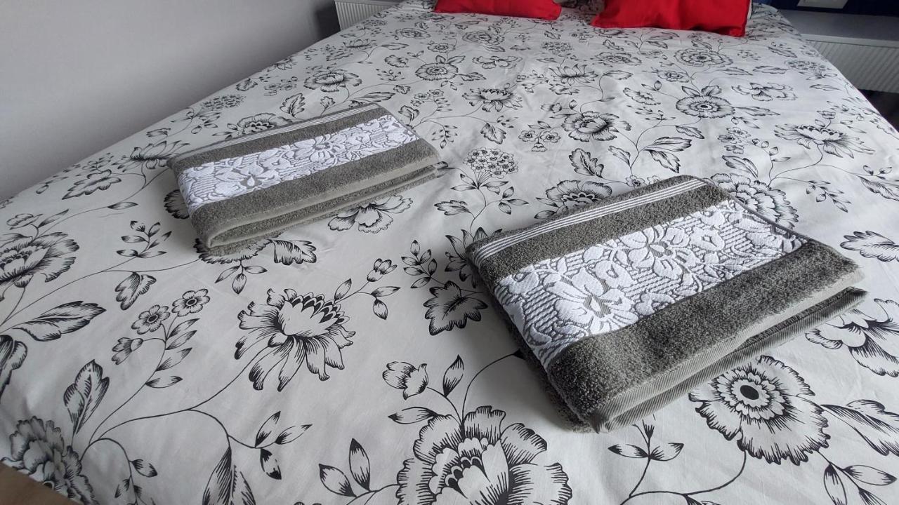 Apartament Nr 50, 2 Sypialnie, Wygodny Parking Podziemny Stary Toruń 外观 照片